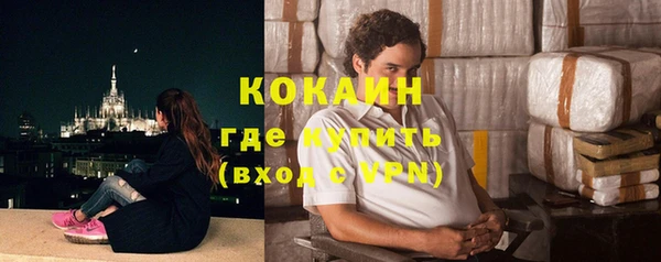мдпв Вяземский