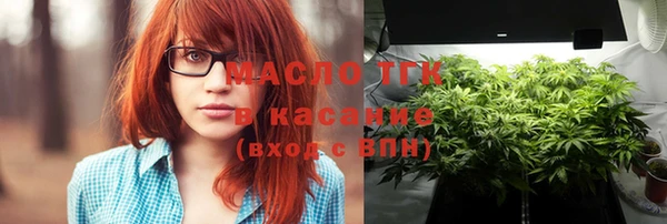 мдпв Вяземский