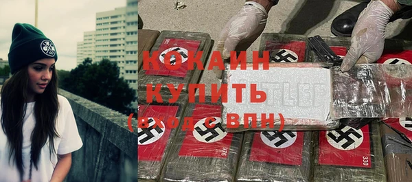мдпв Вяземский