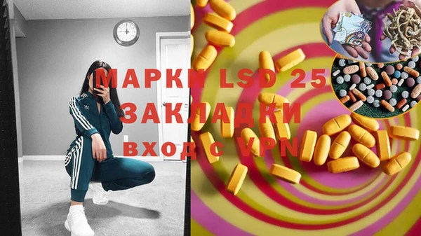мдпв Вяземский