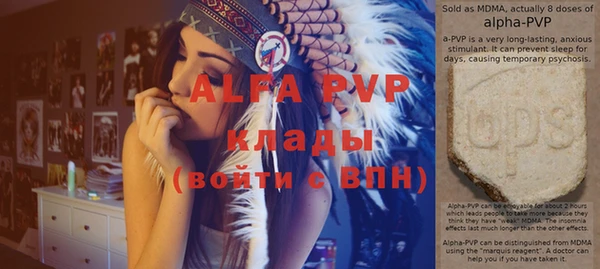 мдпв Вяземский
