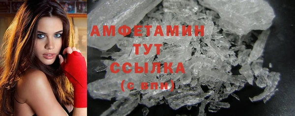 мдпв Вяземский