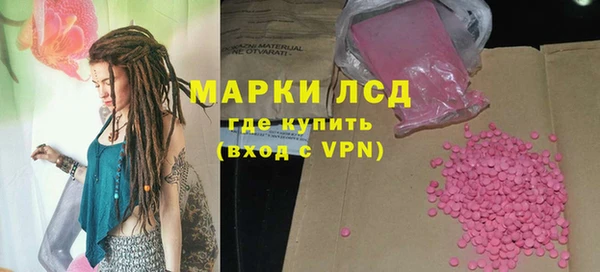 мдпв Вяземский