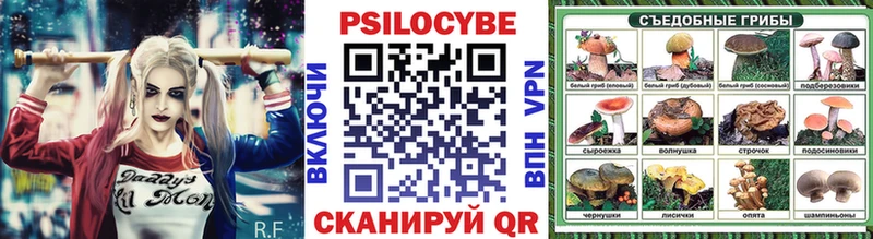 хочу   Иваново  Псилоцибиновые грибы мицелий 